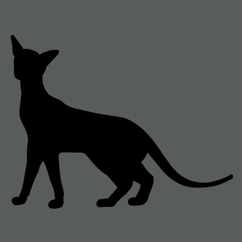 Siam Katze