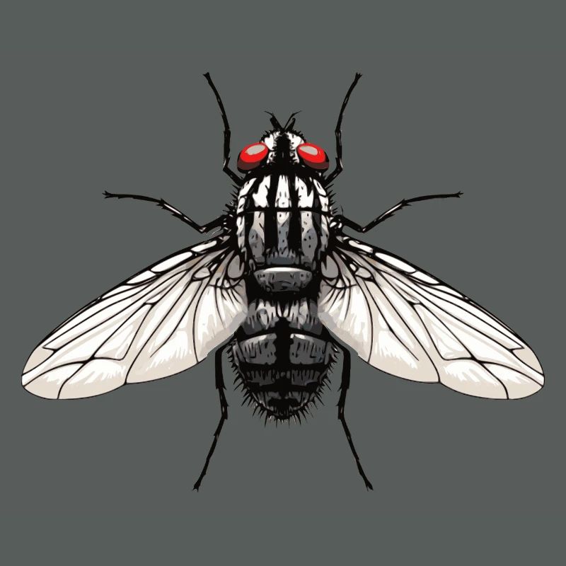 Fliege