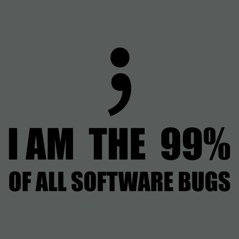 Informatiker, Programmierer