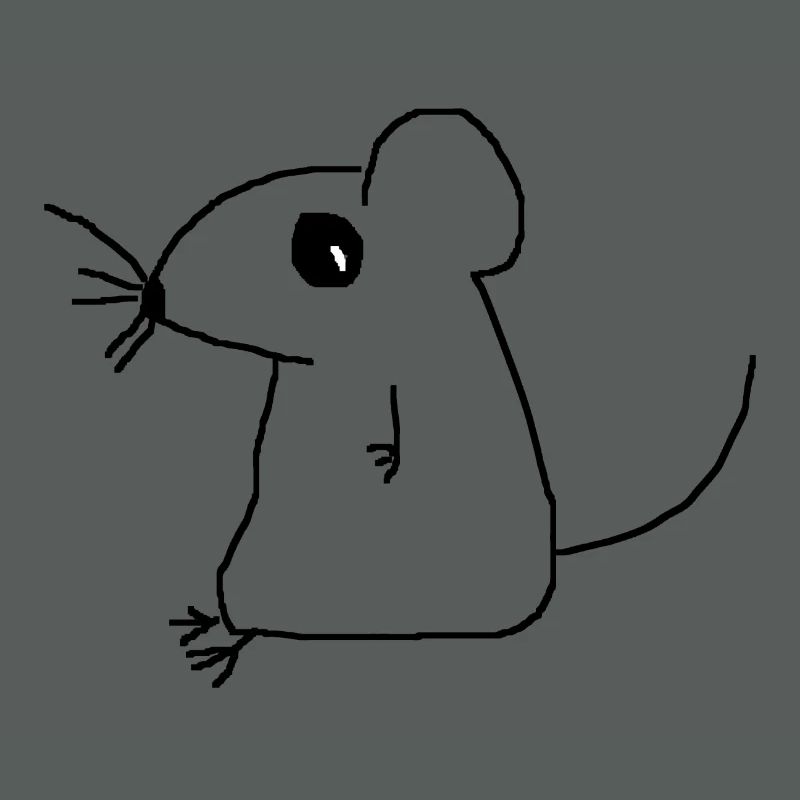 mouse
