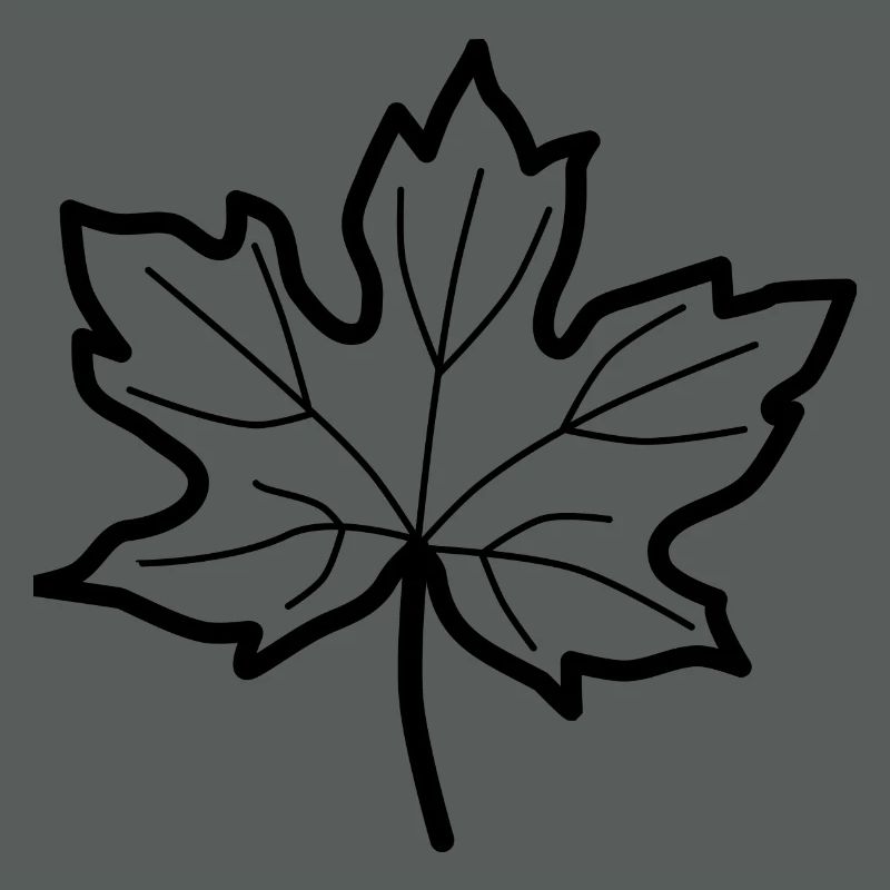 Deciduous leaf - autumn