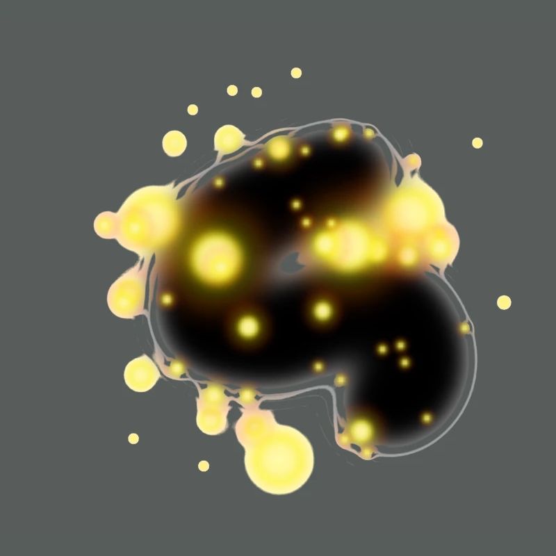 conception