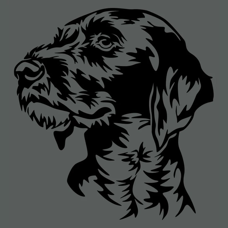 German Wirehaired Pointer head