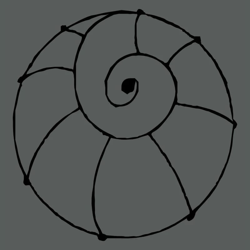 shell