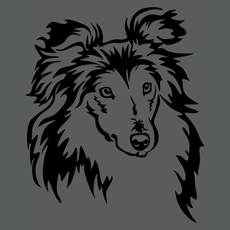 Tête de Sheltie