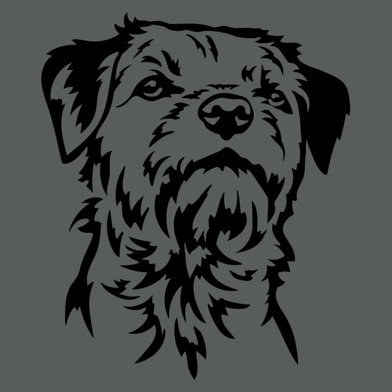 Border Terrier Head
