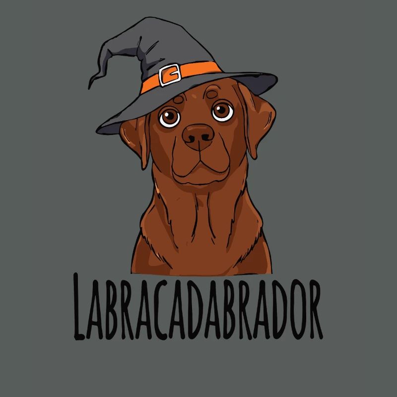 Conception de chapeau de sorcière Labracadabrador