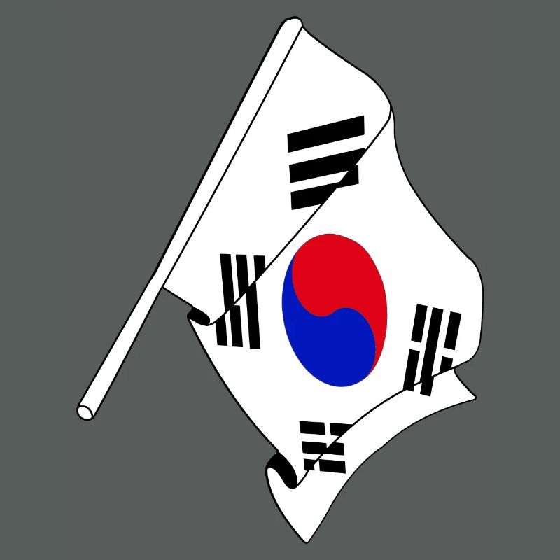 Drapeau de la Corée du Sud