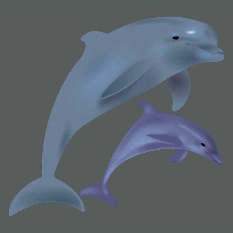 Dolphins
