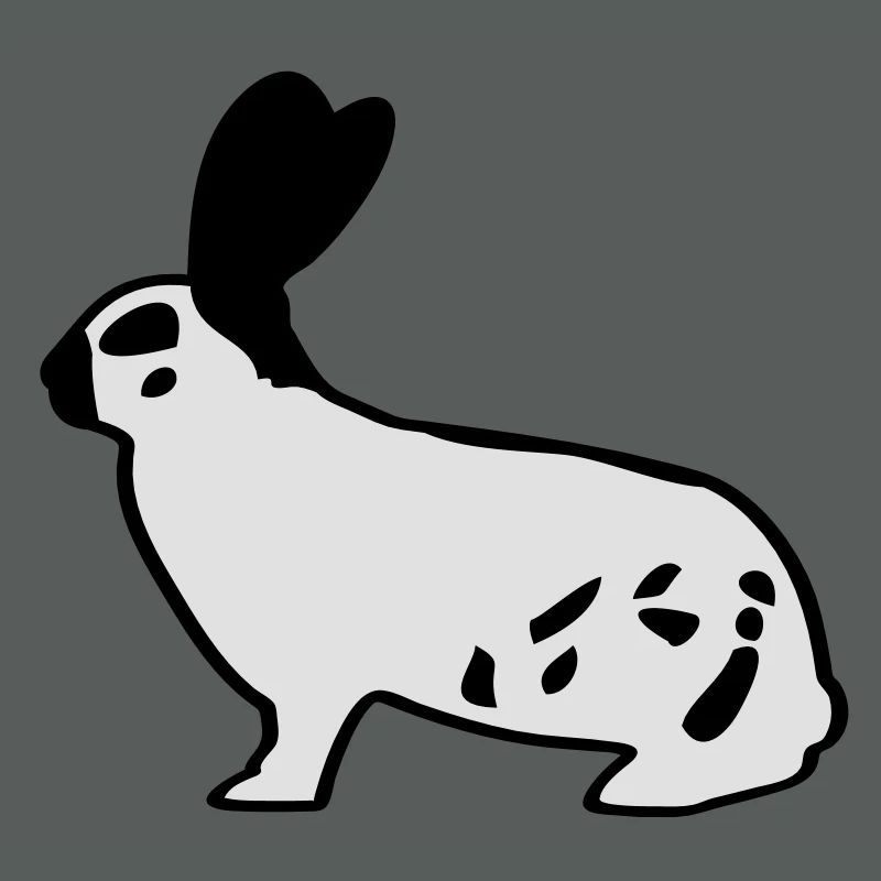 German giant piebald rabbit rabbit bunny