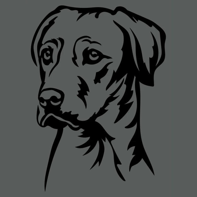 Rhodesian Ridgeback Head