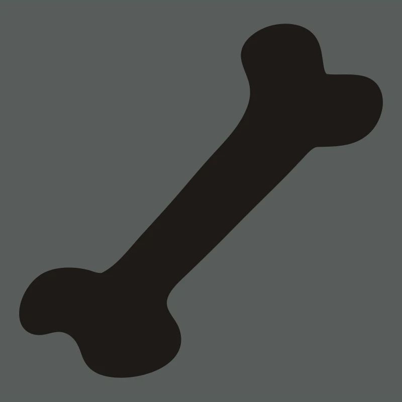 Knochen - Bone