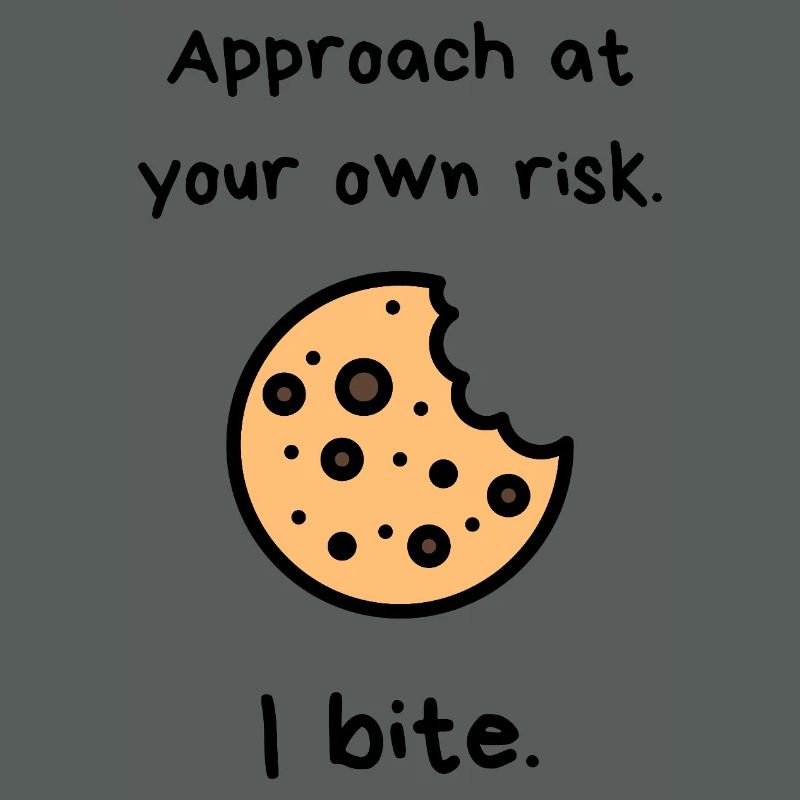 Chocolate Chip Cookie Bite