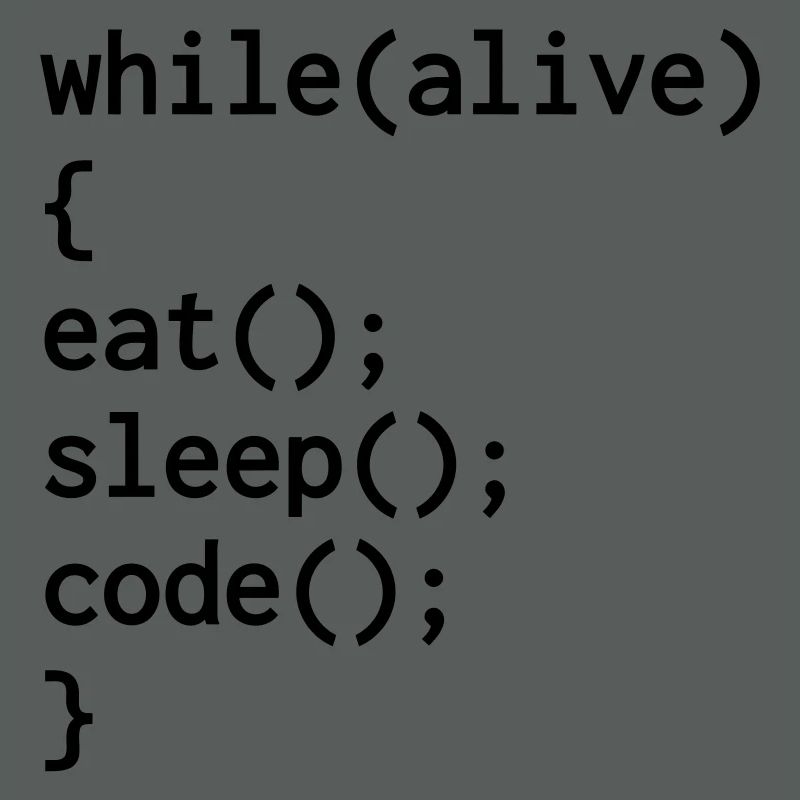 Entwickler / Informatiker / Programmierer /