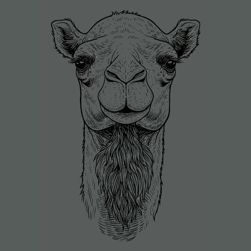 Kamel
