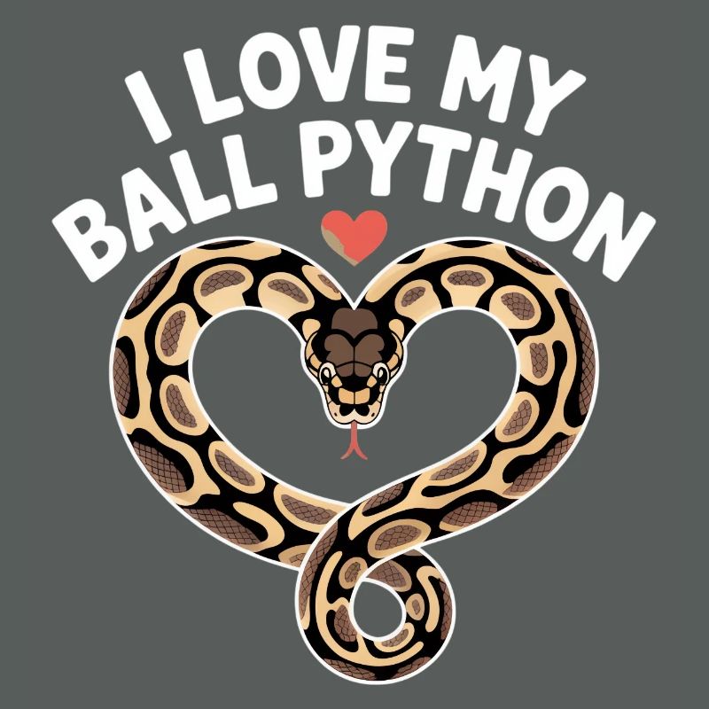 J’adore mon python royal ! Roi python