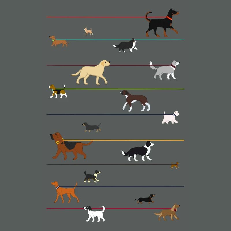 Leinenhunde 2