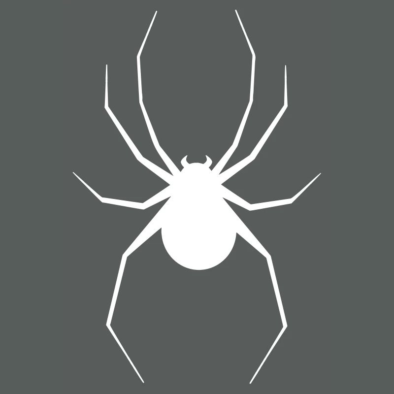 spider
