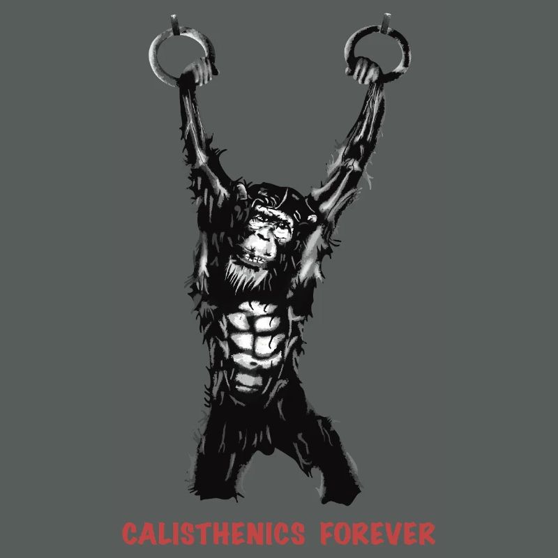Calisthenics Evolution - Gymnastikringe