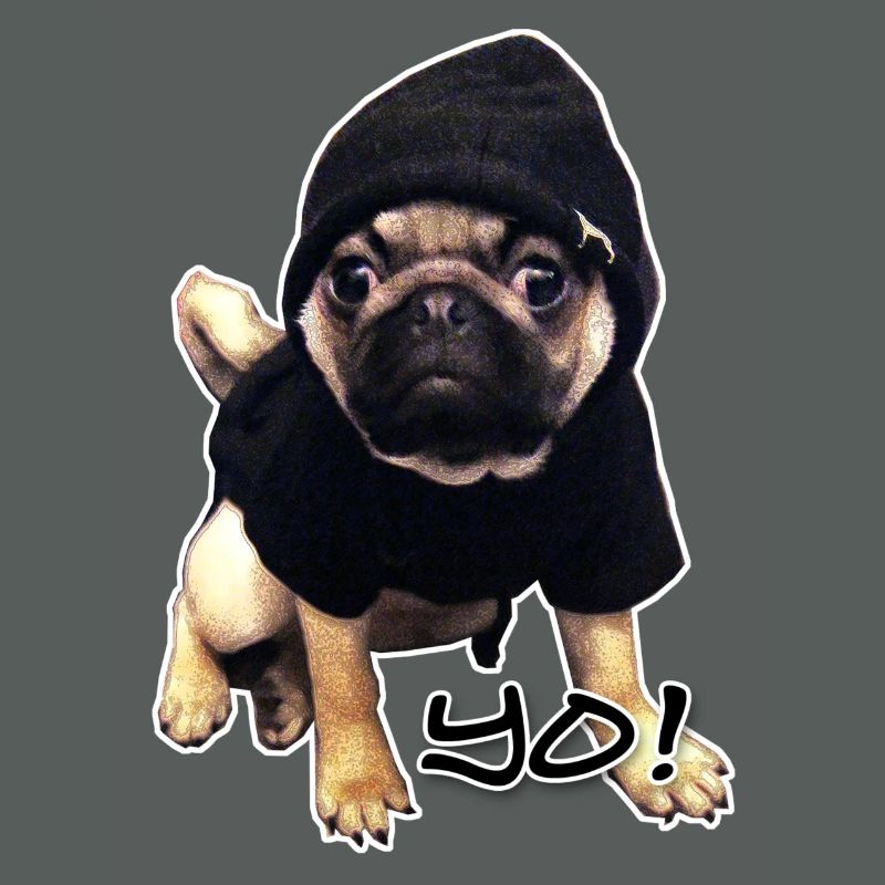 yo_mops_3