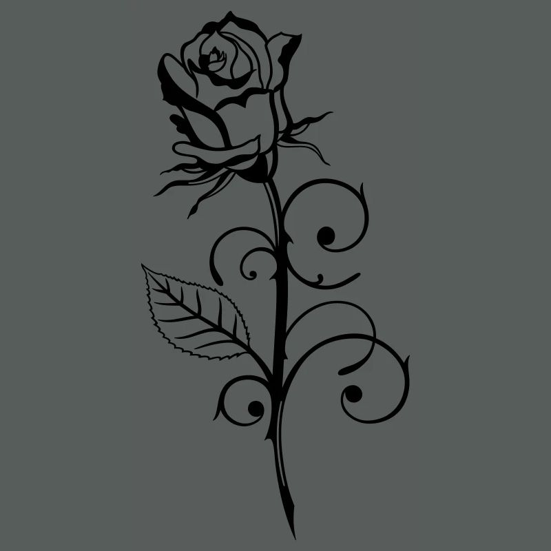 Beautiful rose with leaf