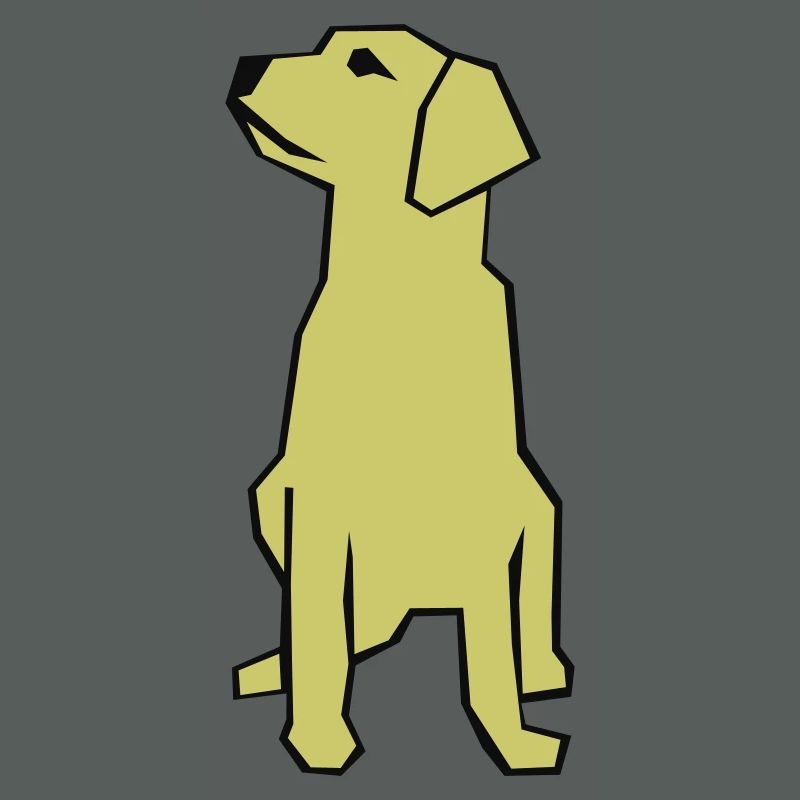 Labrador / Guide Dog