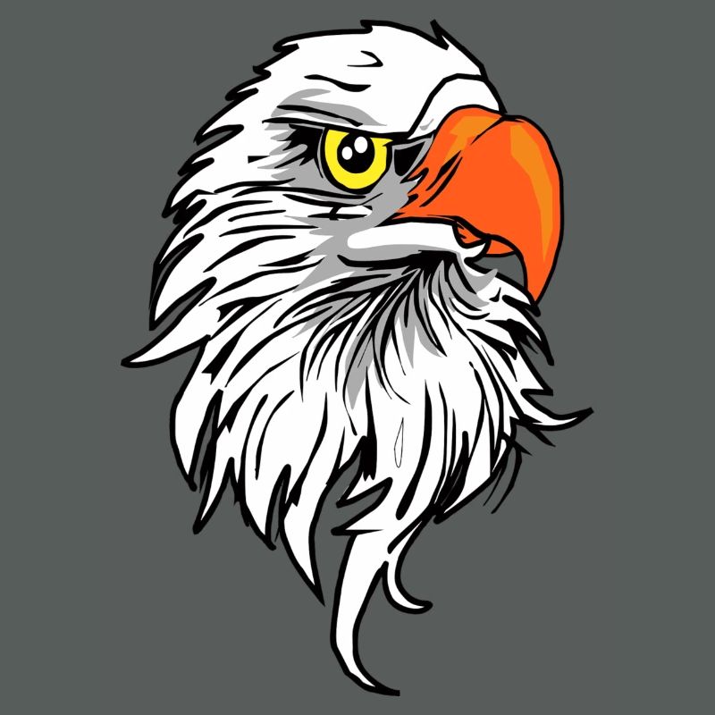 Eagle comic