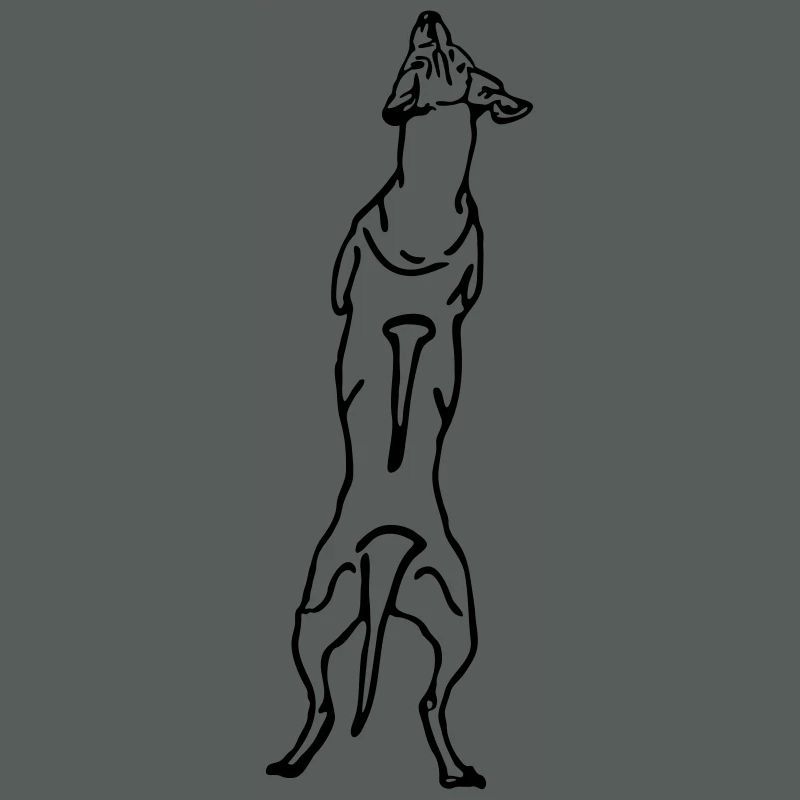 Ridgeback back