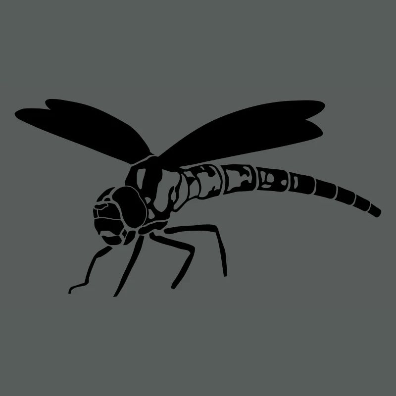 libellule