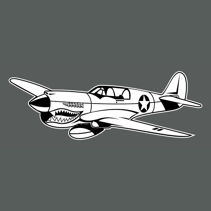 Fighter plane / warplane Warhawk 02_weiß