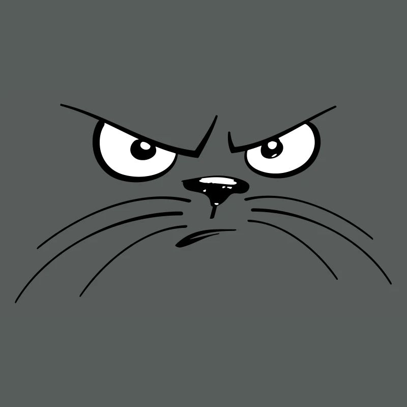 chat en colère