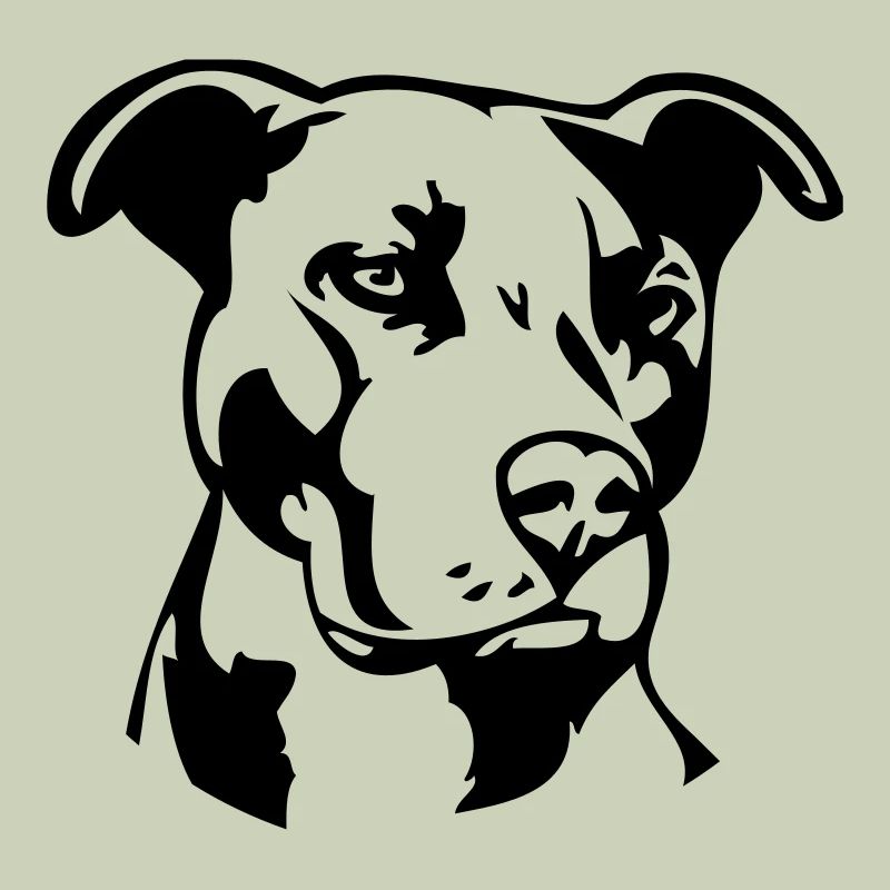 Pitbull einfarbig - Hund Kampfhund