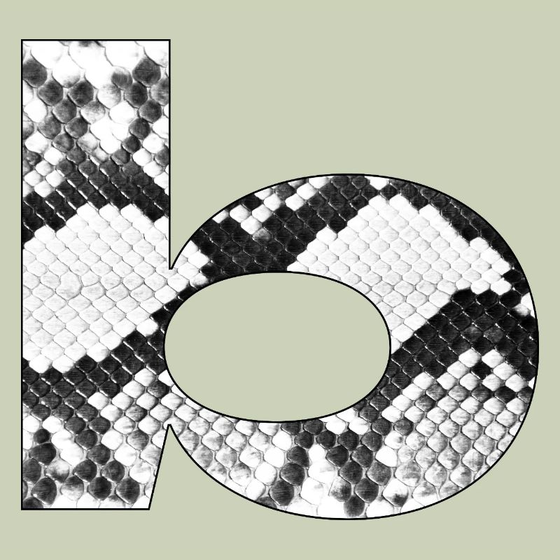 Snakeskin Pattern Letter b