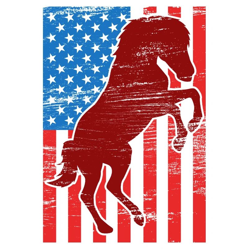 US Flag Riding