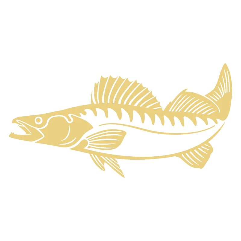 Zander (Pikeperch)