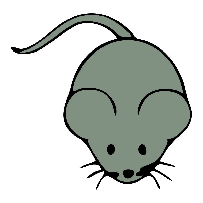 maus