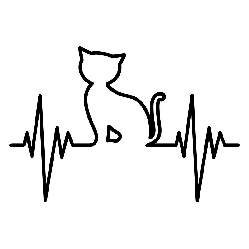 Cat Pulse