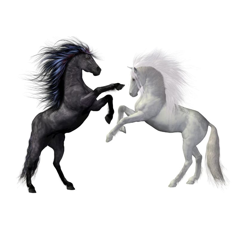 Dancing Horses in Dark and Light