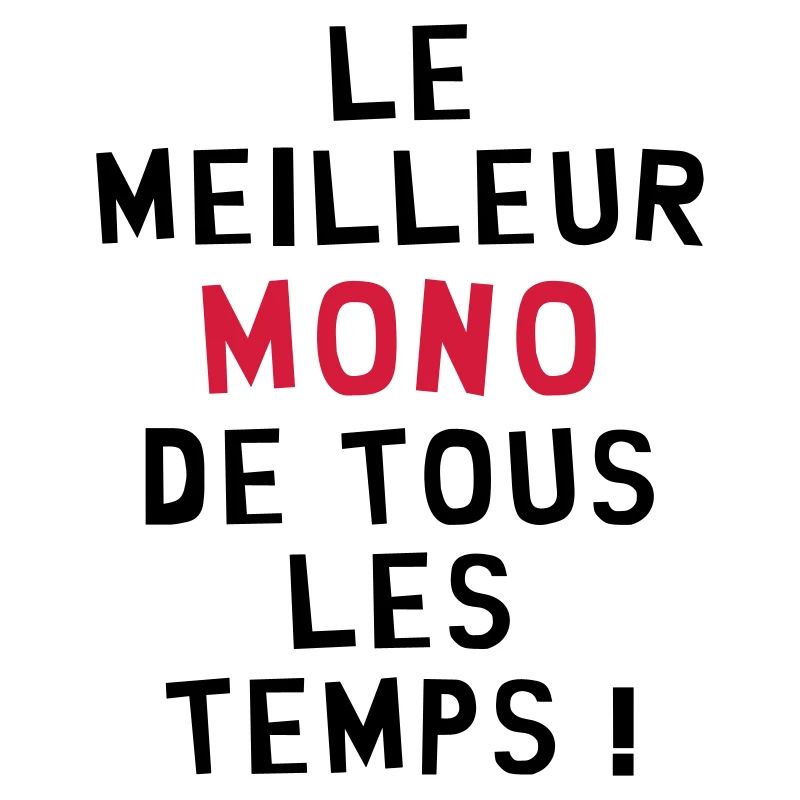 Moniteur / Monitrice / Mono / Formation / Ski