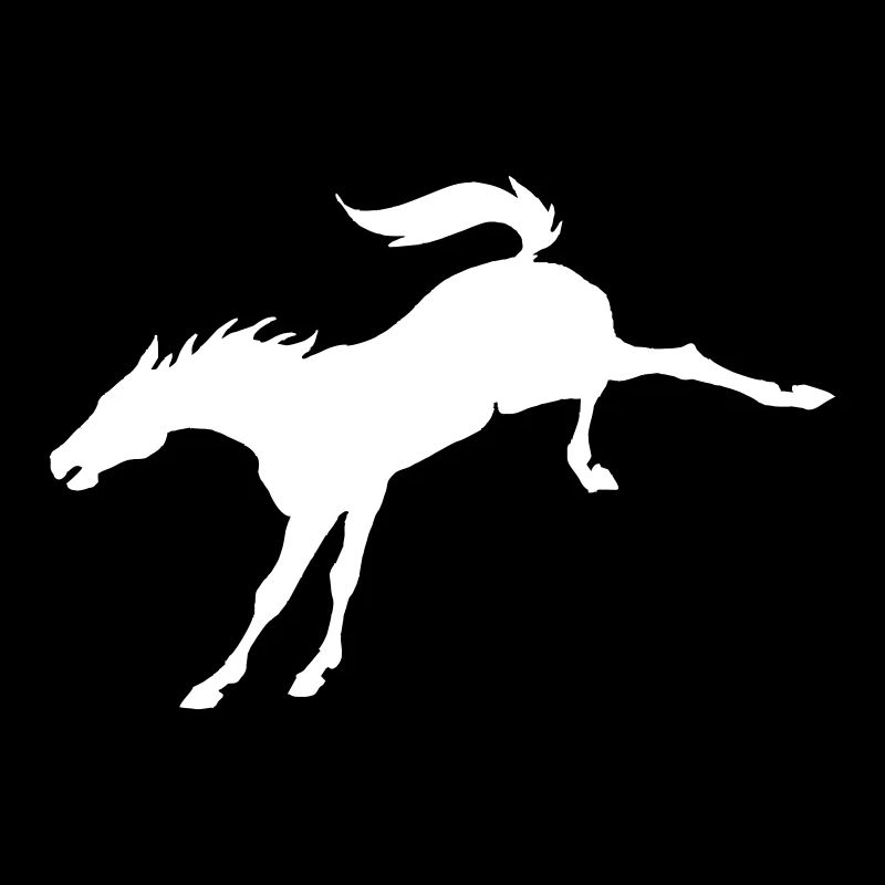 Bronco