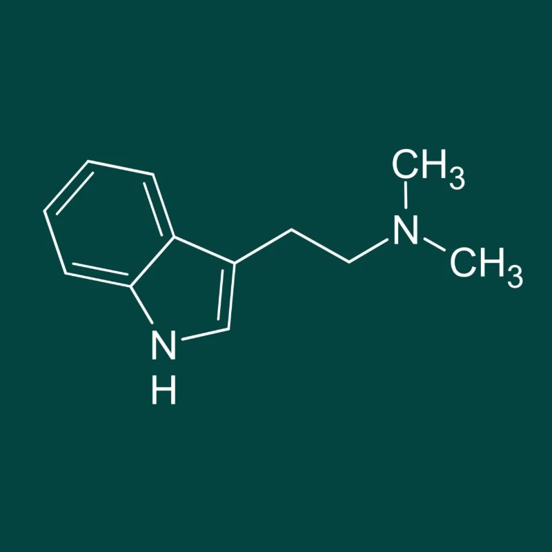 DMT dimethyltryptamine formule structurelle