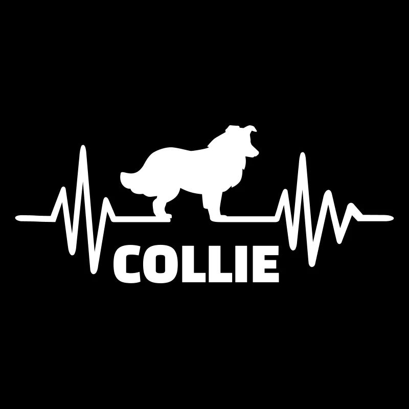 Collie
