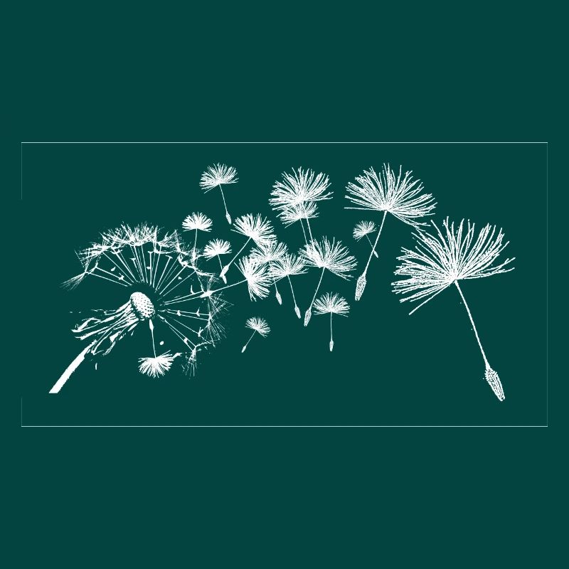 Fleurs de pissenlit commun