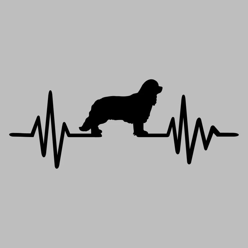 Cavalier King Charles