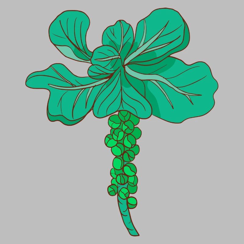 Brussels sprouts Brussels cabbage sprouts cabbage sprouts