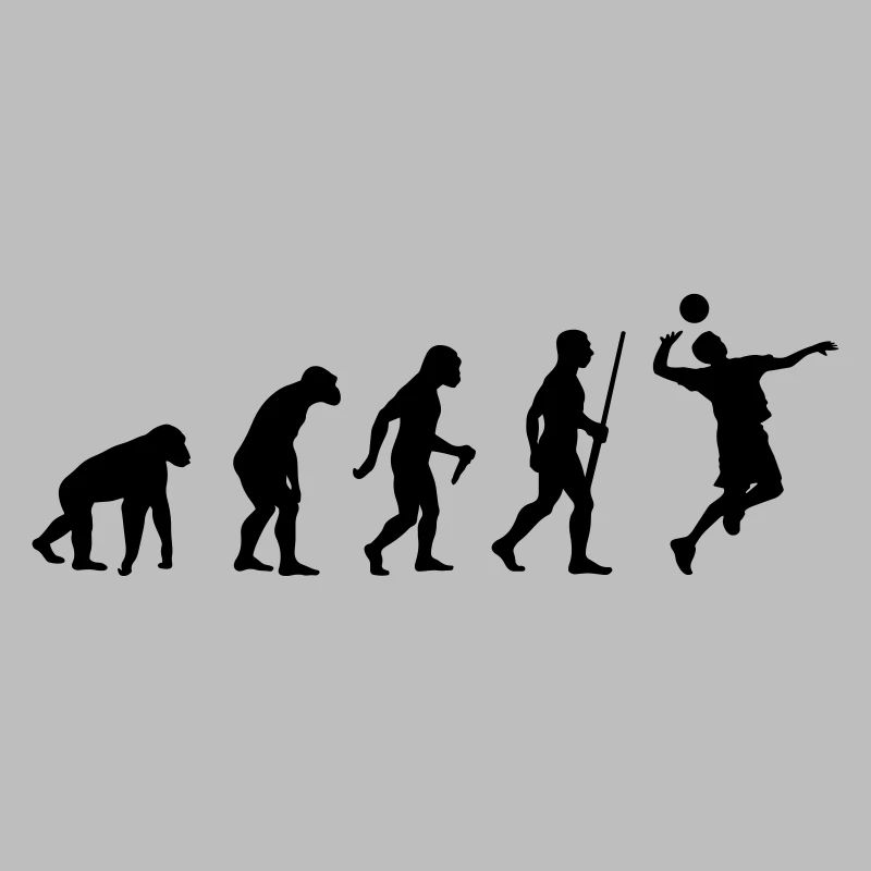 Volleyballer Evolution