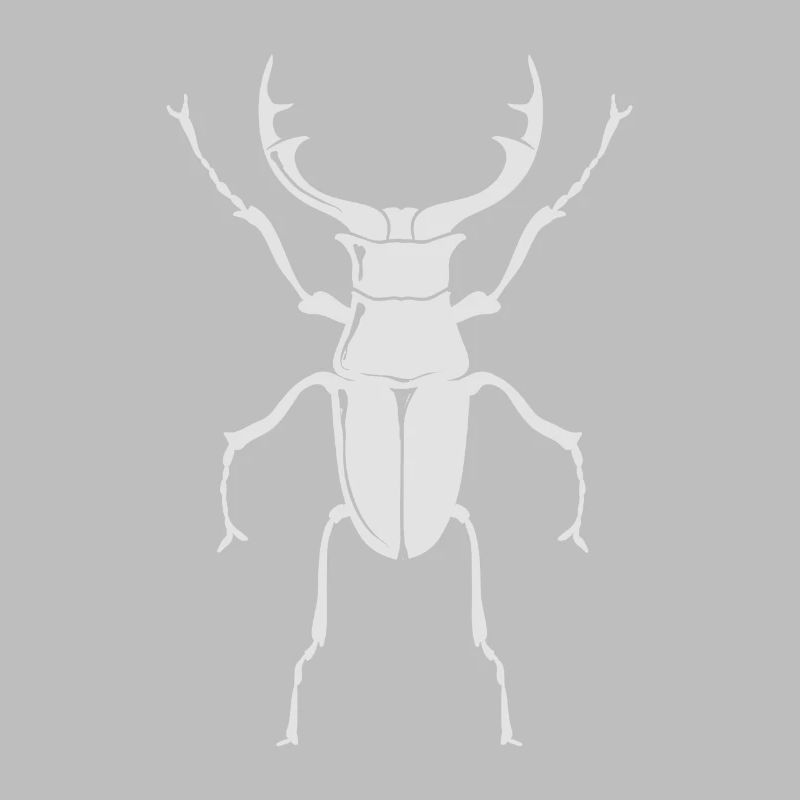 Large stag beetle - insect