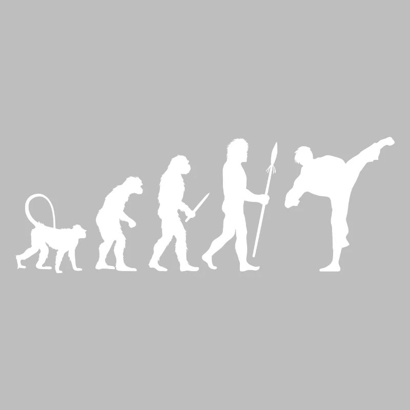 Évolution du karaté