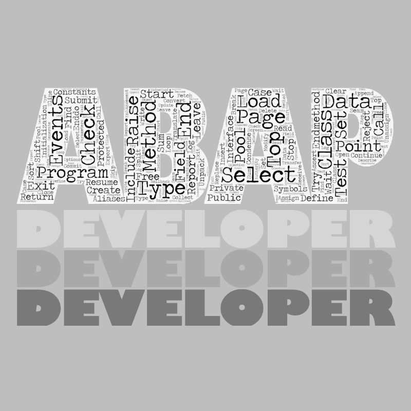 ABAP Developer