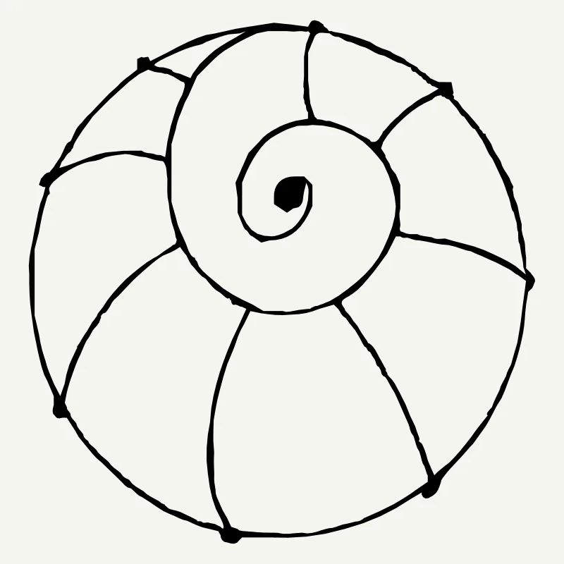 shell